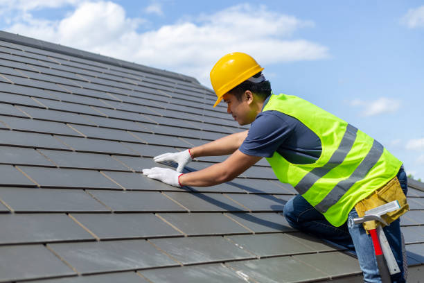 Best Roof Repair Specialists  in Bridgeport, MI