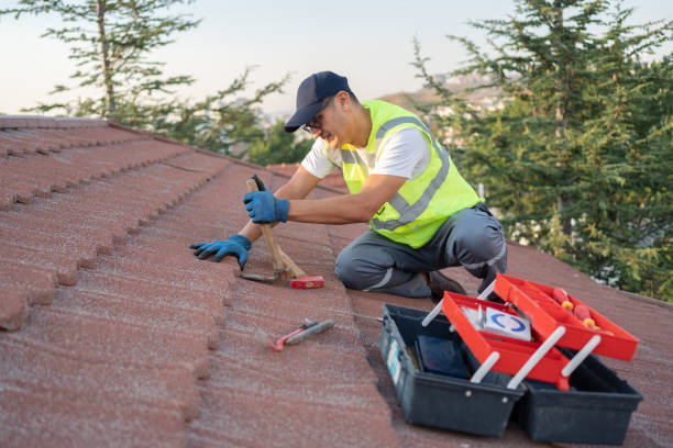 Best Sealant for Roof  in Bridgeport, MI