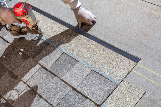 Best Residential Roof Replacement  in Bridgeport, MI