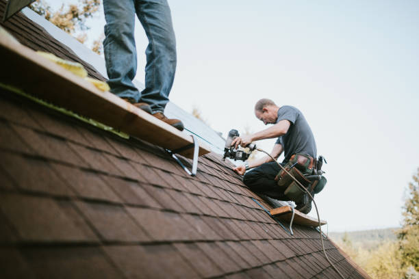 Best Metal Roofing Contractor  in Bridgeport, MI