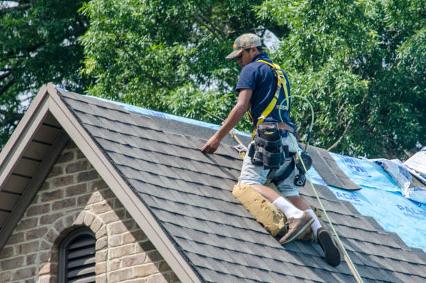 Best Roof Gutter Cleaning  in Bridgeport, MI