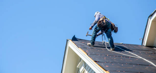 Best Roof Restoration Services  in Bridgeport, MI